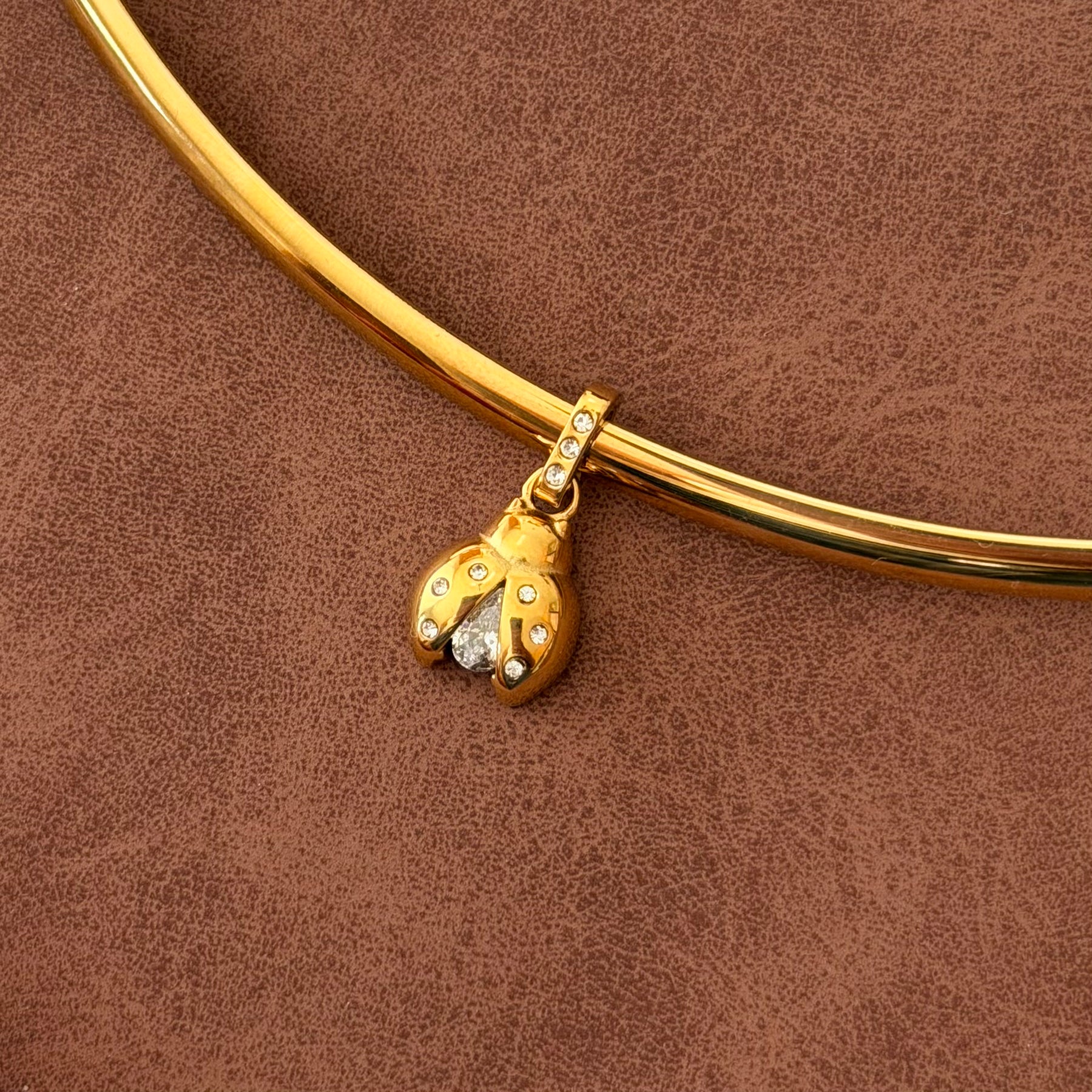 Charm Ladybug