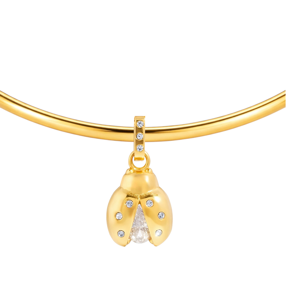 Charm Ladybug